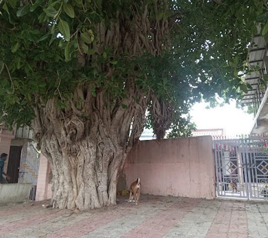 Mahadev Temple - photo 1
